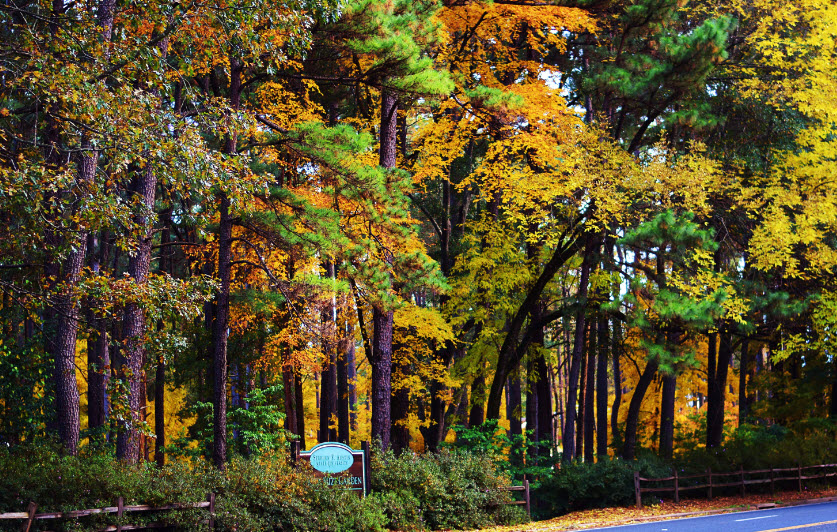 SFA Mast Arboretum, United States
